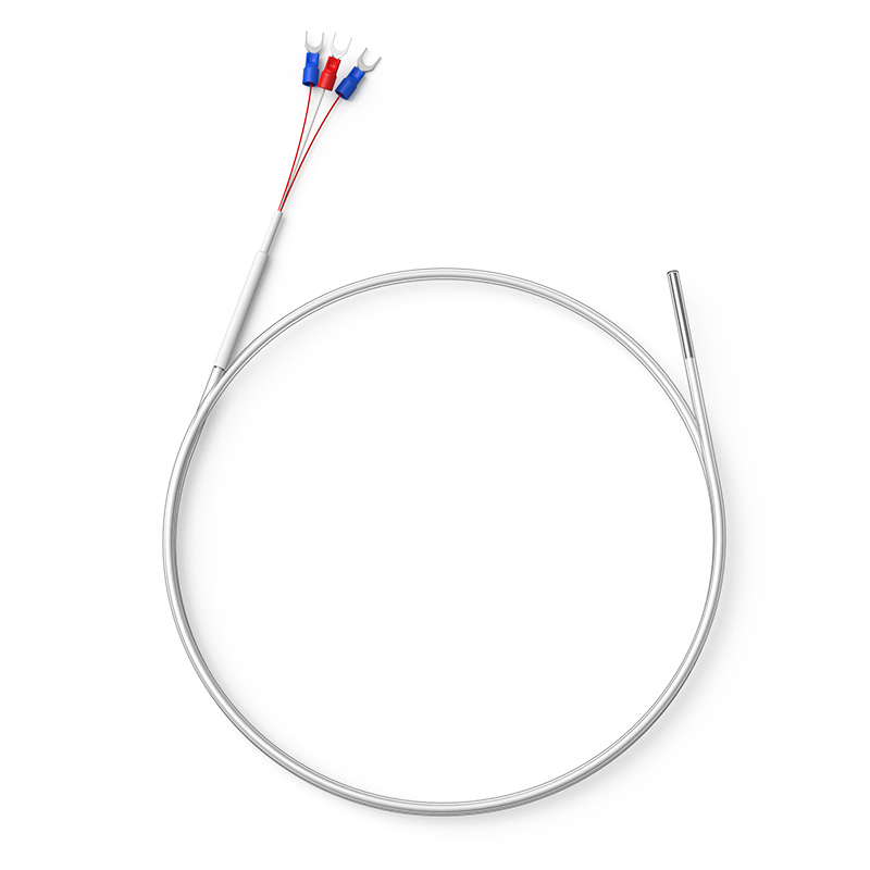 鐵氟龍熱電阻12_http://m.raeo.cn_溫度儀表_第1張