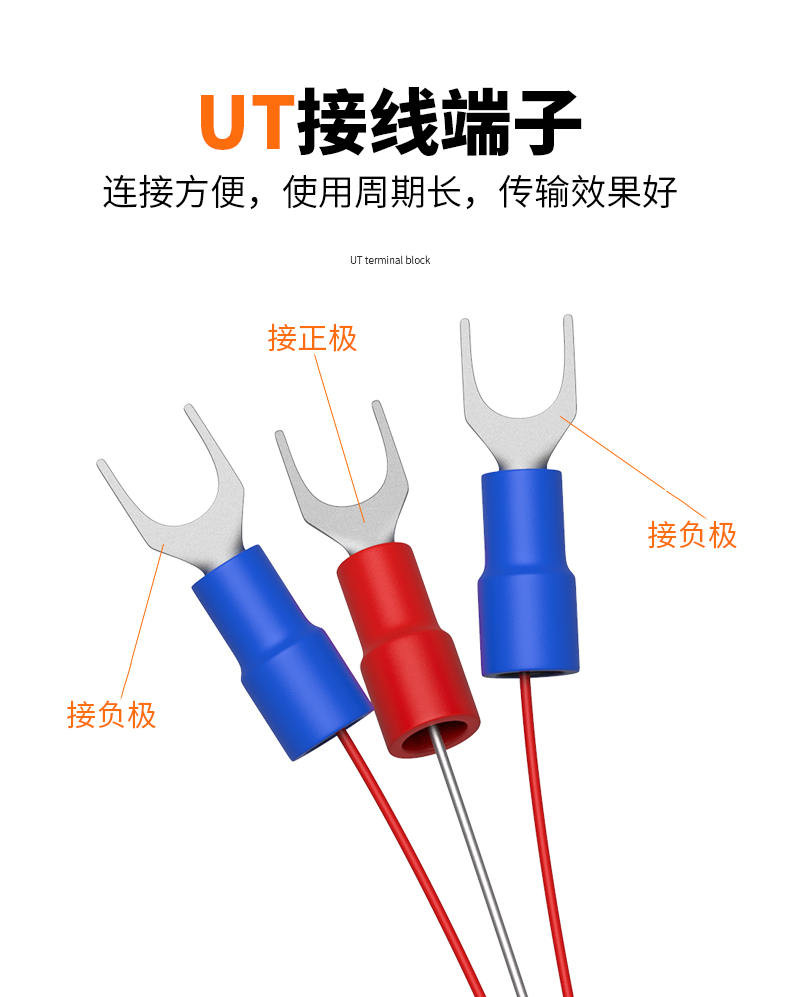 鐵氟龍熱電阻12_http://m.raeo.cn_溫度儀表_第12張