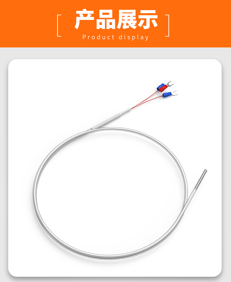 鐵氟龍熱電阻12_http://m.raeo.cn_溫度儀表_第13張