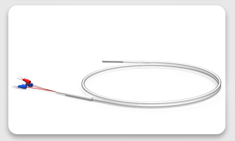 鐵氟龍熱電阻12_http://m.raeo.cn_溫度儀表_第15張