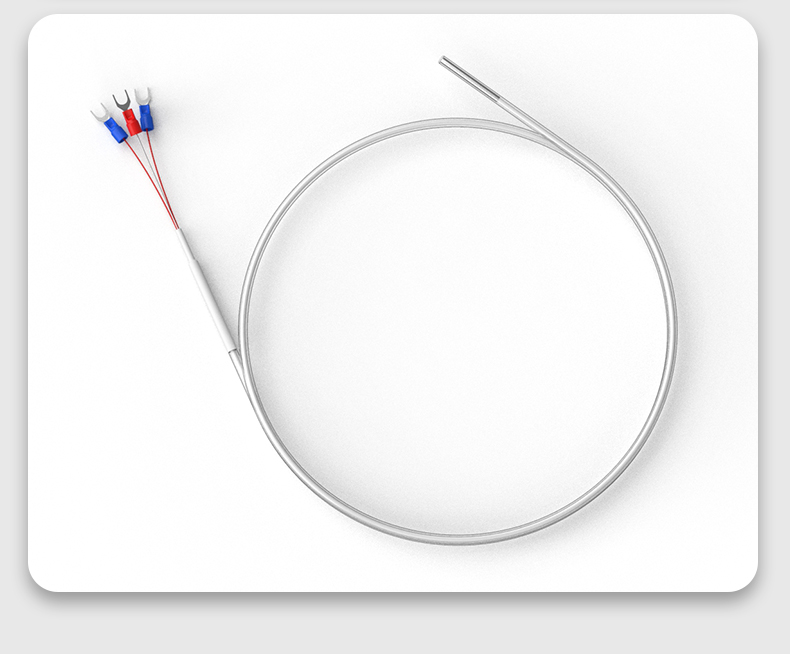 鐵氟龍熱電阻12_http://m.raeo.cn_溫度儀表_第16張