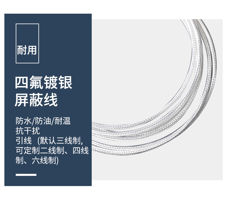 端面熱電阻6_http://m.raeo.cn_溫度儀表_第11張