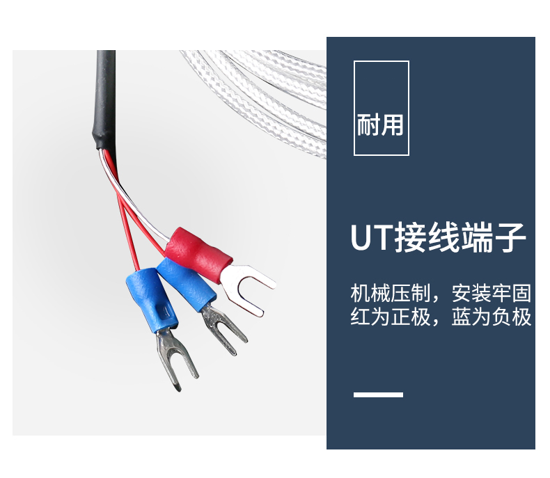 端面熱電阻6_http://m.raeo.cn_溫度儀表_第12張