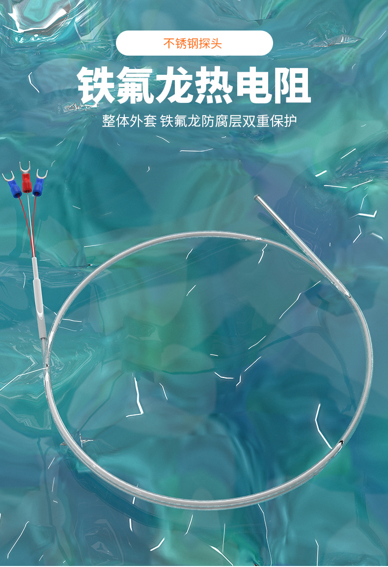 鐵氟龍熱電阻12_http://m.raeo.cn_溫度儀表_第4張