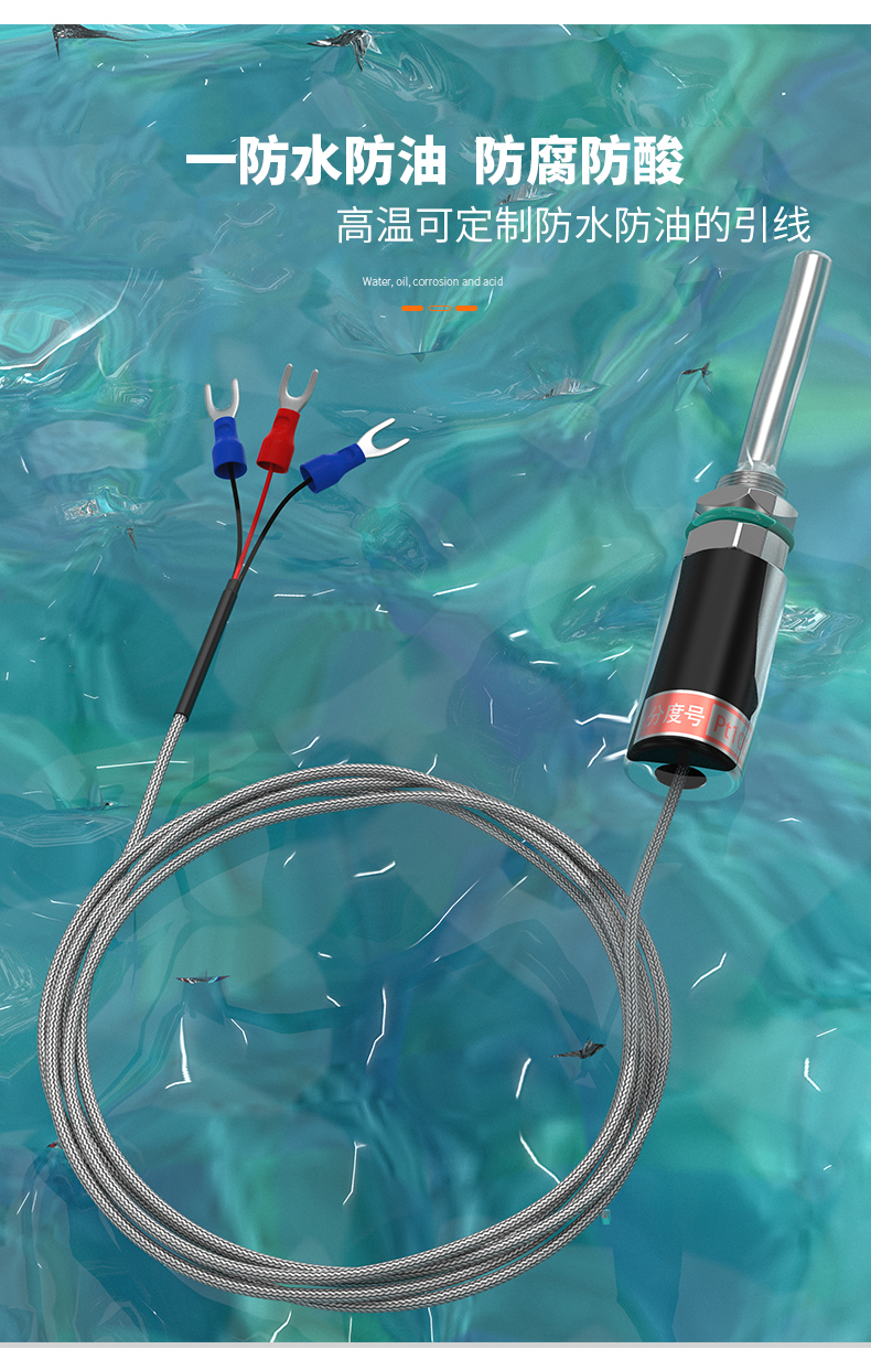 PT100溫度傳感器13_http://m.raeo.cn_溫度儀表_第9張