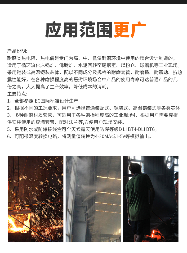 WRNM-131耐磨熱電偶15_http://m.raeo.cn_溫度儀表_第6張