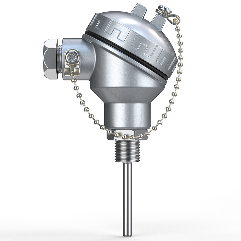 PT-100 一體化溫度傳感變送器16_http://m.raeo.cn_溫度儀表_第1張