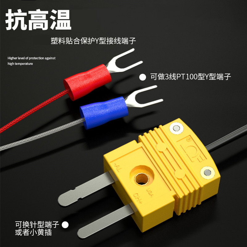 鎧裝溫度傳感器18_http://m.raeo.cn_溫度儀表_第4張