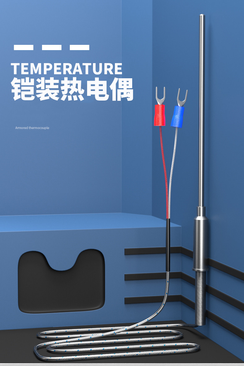 鎧裝溫度傳感器18_http://m.raeo.cn_溫度儀表_第5張