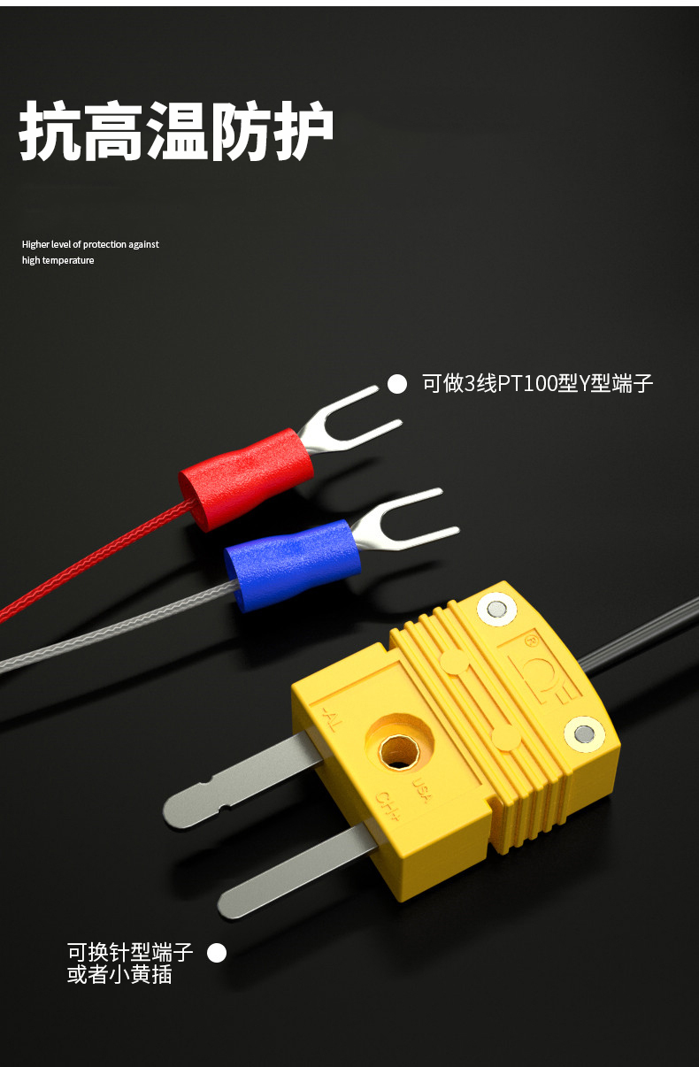 鎧裝溫度傳感器18_http://m.raeo.cn_溫度儀表_第12張